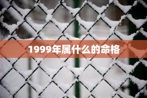 1999年属什么的命格