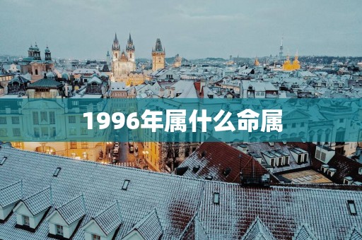 1996年属什么命属