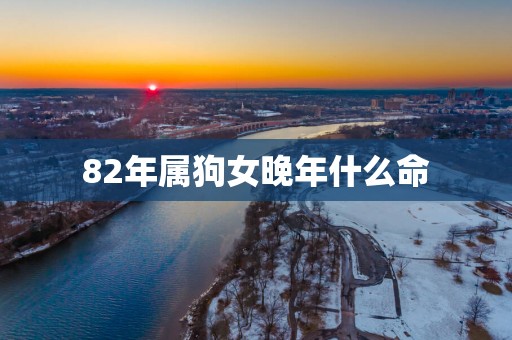 82年属狗女晚年什么命