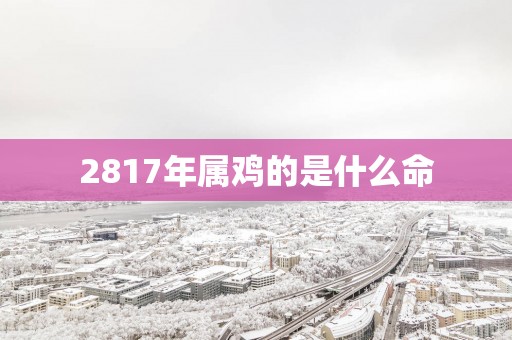 2817年属鸡的是什么命