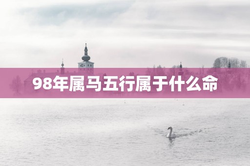 98年属马五行属于什么命