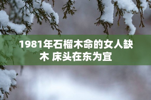 1981年石榴木命的女人缺木 床头在东为宜