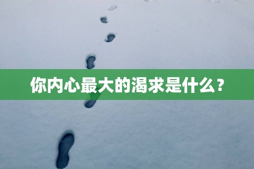 你内心最大的渴求是什么？