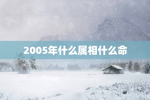 2005年什么属相什么命