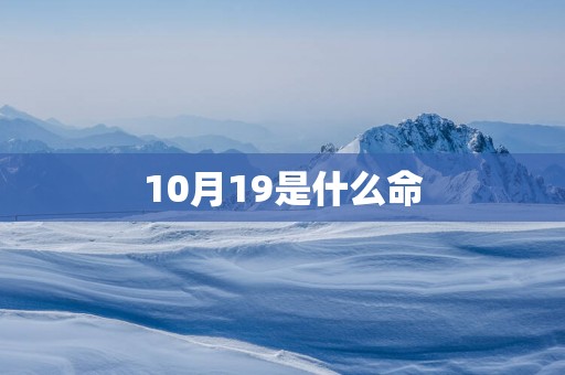 10月19是什么命