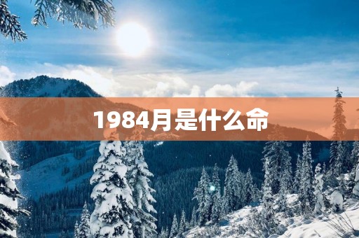 1984月是什么命