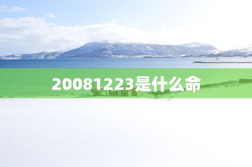 20081223是什么命