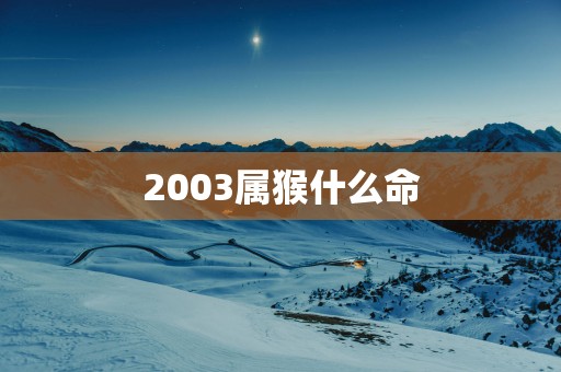 2003属猴什么命