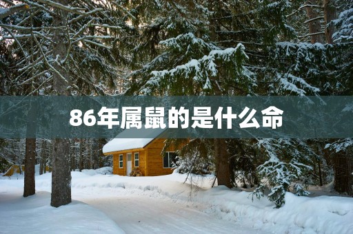 86年属鼠的是什么命