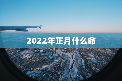 2025年正月什么命