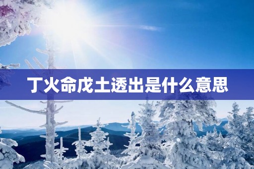 丁火命戊土透出是什么意思