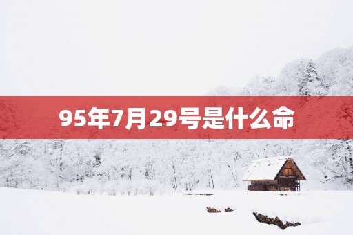 95年7月29号是什么命