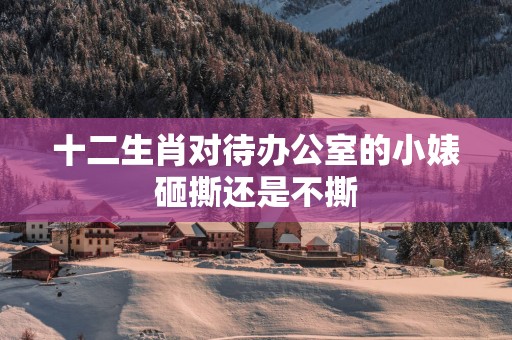 十二生肖对待办公室的小婊砸撕还是不撕
