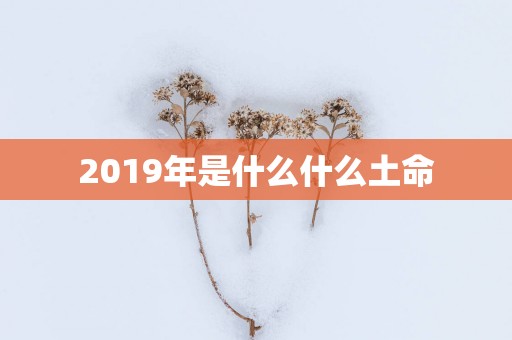 2019年是什么什么土命