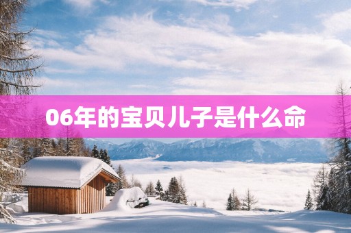 06年的宝贝儿子是什么命