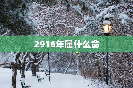 2916年属什么命