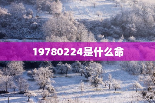 19780224是什么命