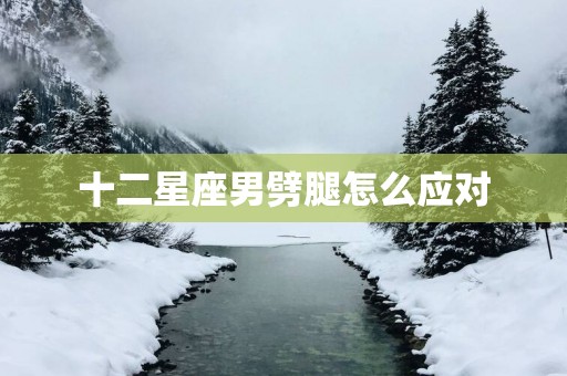 十二星座男劈腿怎么应对