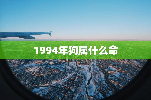 1994年狗属什么命