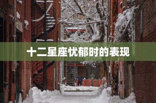 十二星座忧郁时的表现