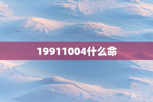 19911004什么命
