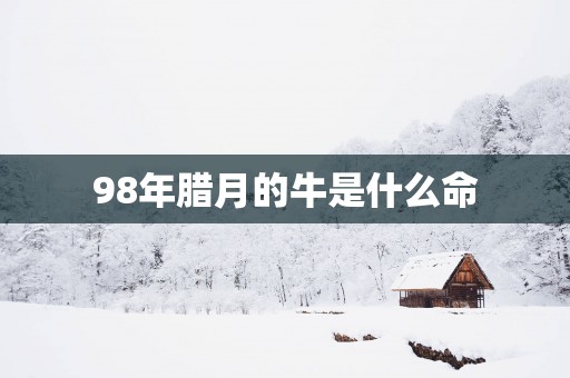 98年腊月的牛是什么命