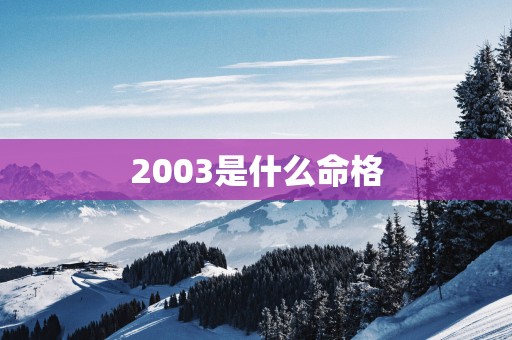 2003是什么命格