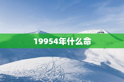 19954年什么命