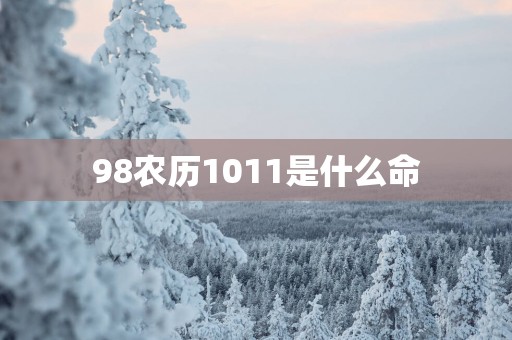 98农历1011是什么命