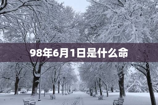98年6月1日是什么命