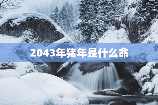2043年猪年是什么命