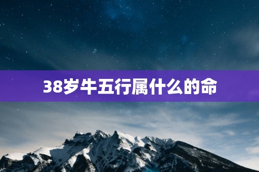 38岁牛五行属什么的命