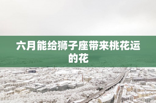 六月能给狮子座带来桃花运的花