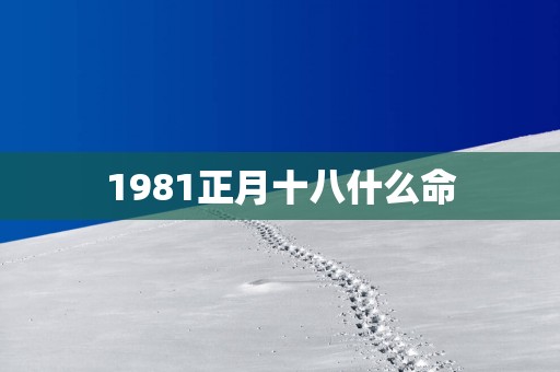 1981正月十八什么命
