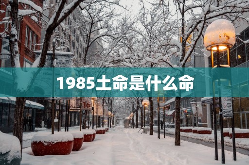1985土命是什么命