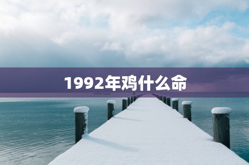 1992年鸡什么命