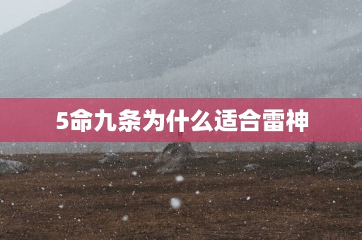 5命九条为什么适合雷神