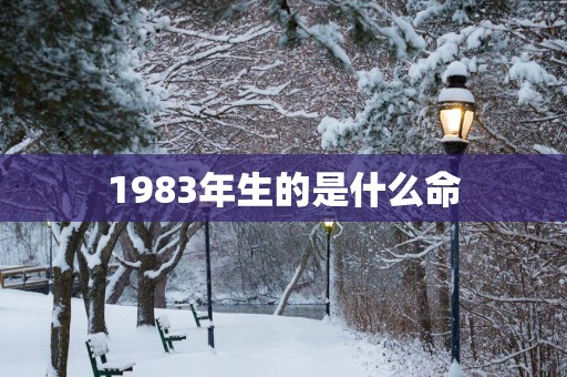 1983年生的是什么命