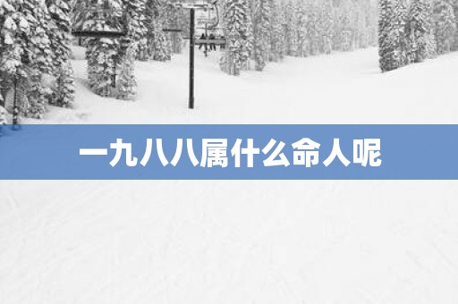 一九八八属什么命人呢