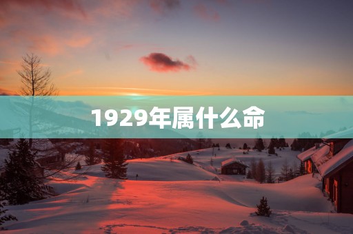 1929年属什么命