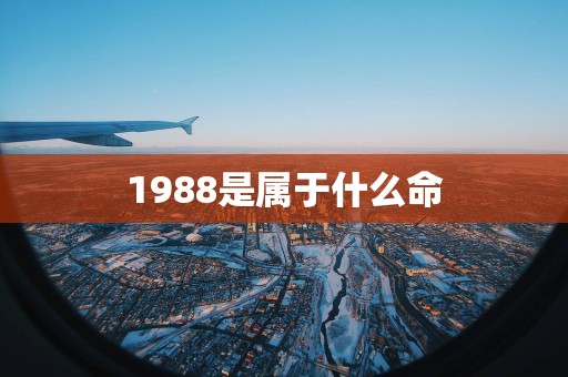 1988是属于什么命
