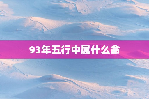 93年五行中属什么命