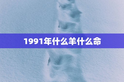 1991年什么羊什么命