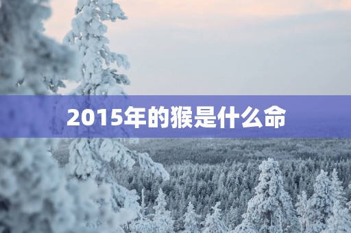 2015年的猴是什么命