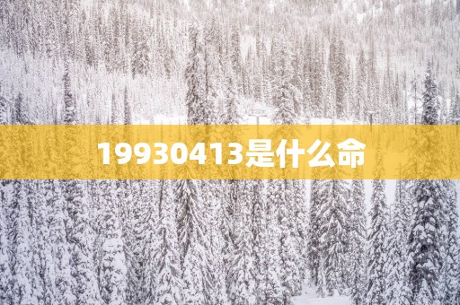 19930413是什么命