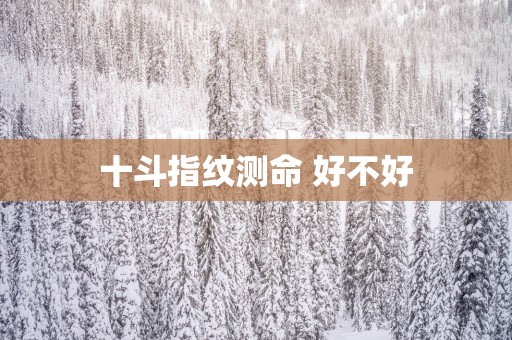 十斗指纹测命 好不好