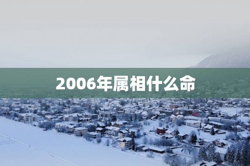 2006年属相什么命