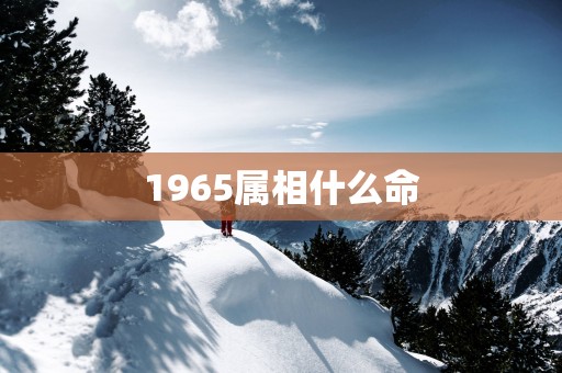 1965属相什么命