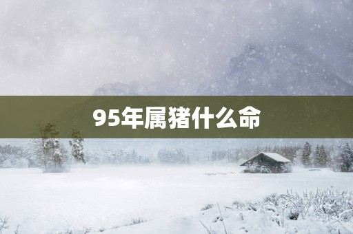 95年属猪什么命