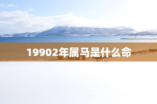 19902年属马是什么命